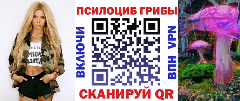 Галлюциногенные грибы мицелий  blacksprut ССЫЛКА  Беломорск 